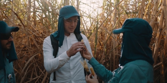 From sugarcane to a bottle